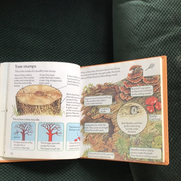 The Usborne Complete Book of Nature - Picture 7 of 15